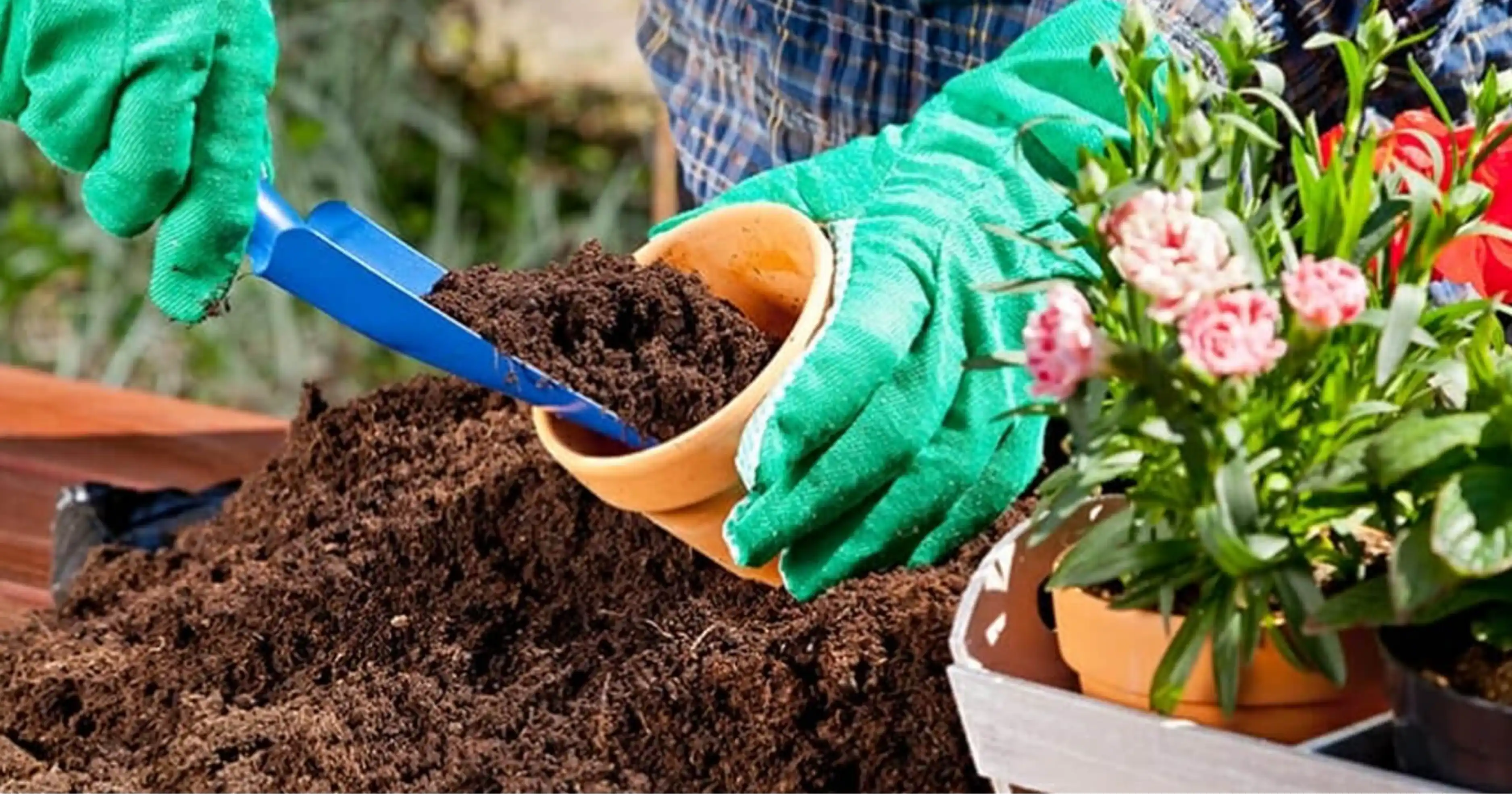High-Grade Cocopeat