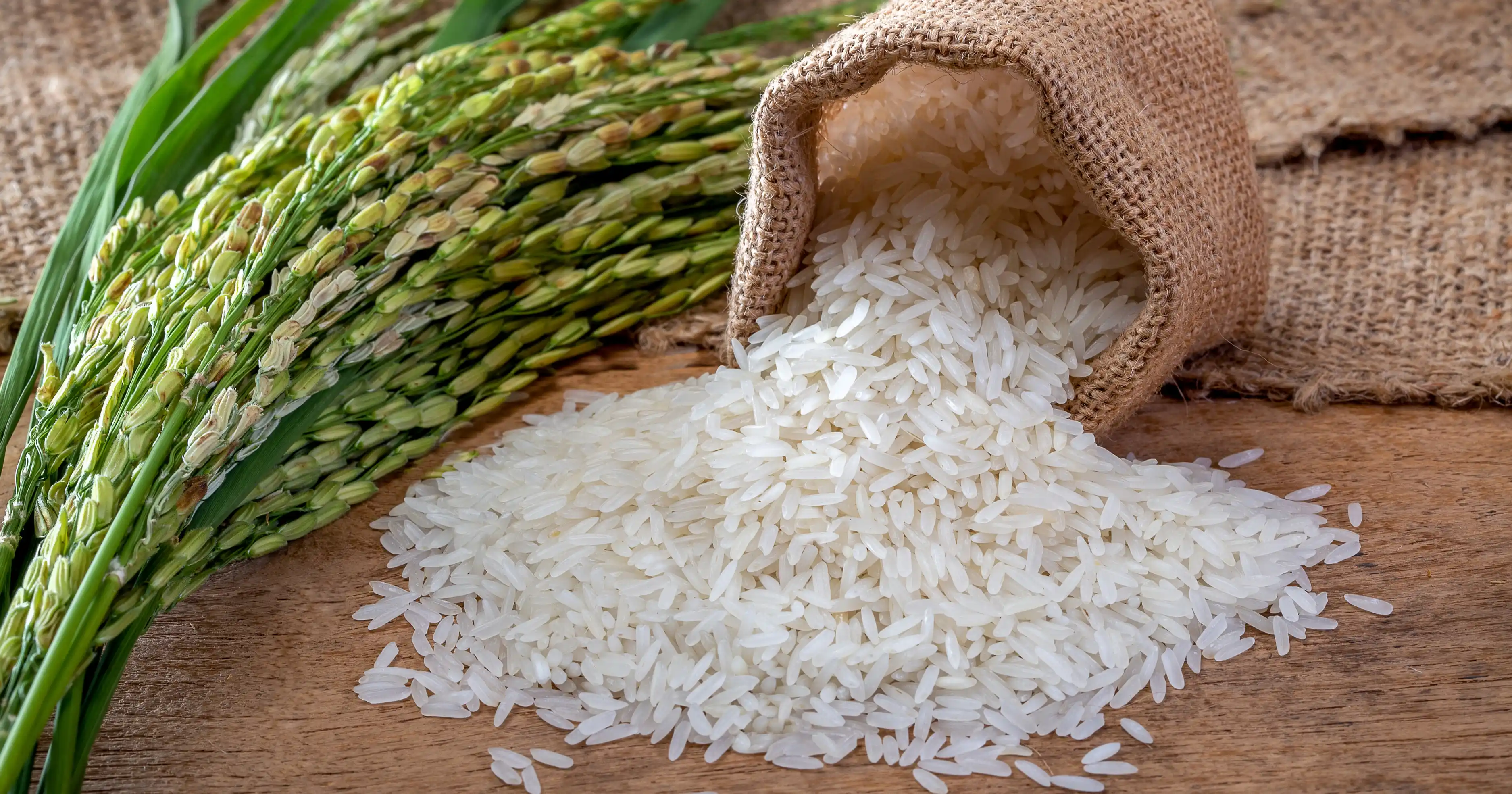 Premium Indian Rice